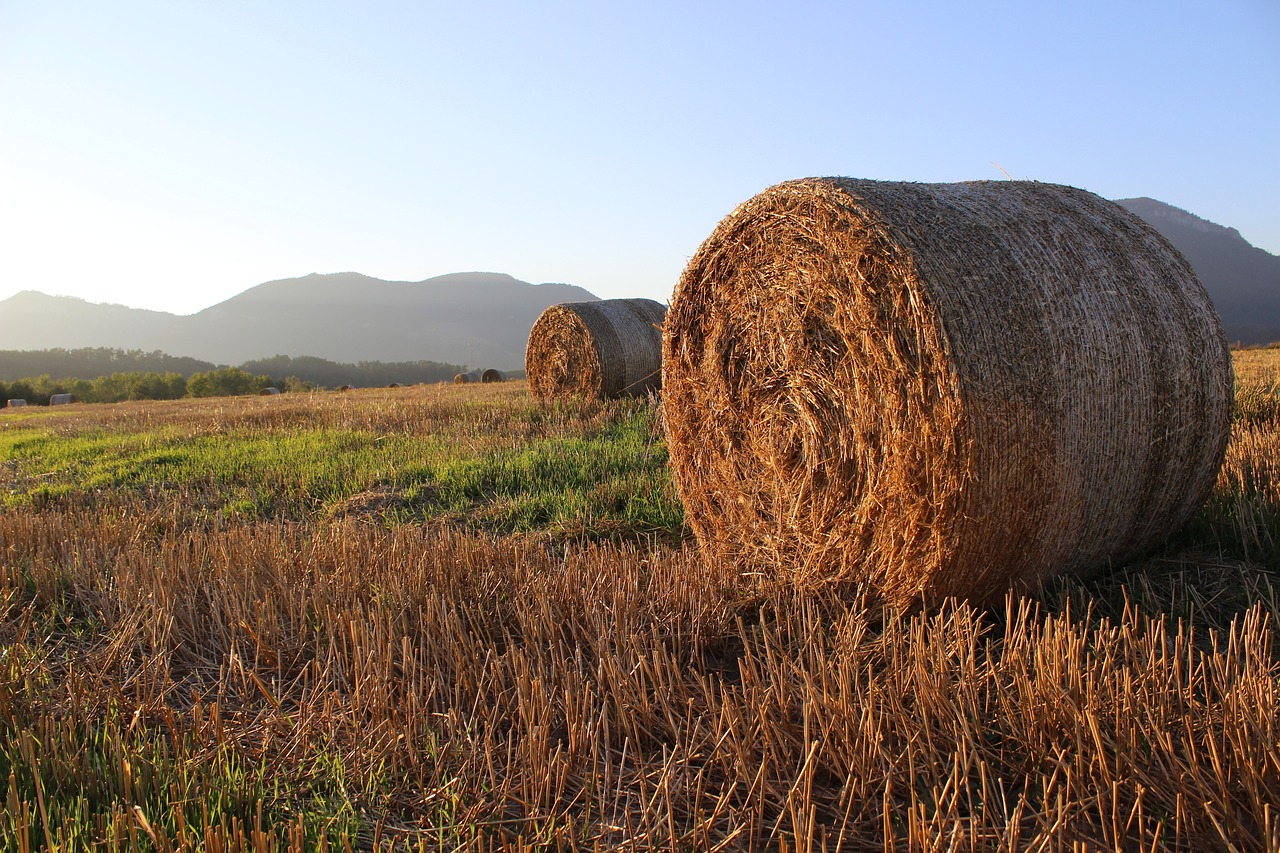 straw-gbab49f37f_1280